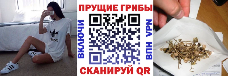 Галлюциногенные грибы Magic Shrooms  Купить  Багратионовск 